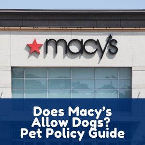 Does Macy’s Allow Dogs