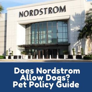 Does Nordstrom Allow Dogs