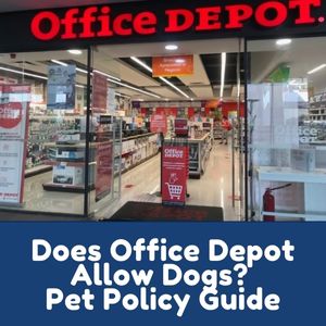 Does Office Depot Allow Dogs