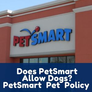 Does PetSmart Allow Dogs
