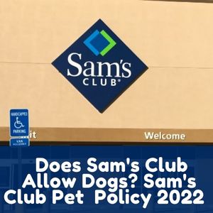 Does Sam's Club Allow Dogs