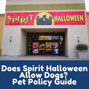 Does Spirit Halloween Allow Dogs