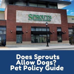 Does Sprouts Allow Dogs