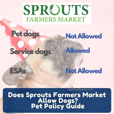 Does Sprouts Farmers Market Allow Dogs