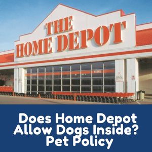 Does Home Depot Allow Dogs Inside?
