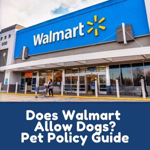 Does Walmart Allow Dogs?