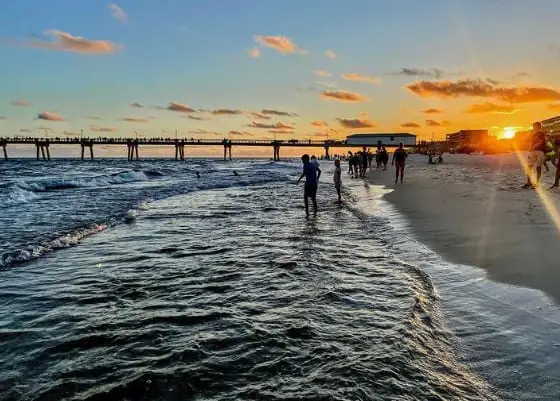 Dog Friendly Beaches In Destin