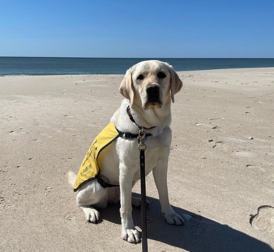 Fire Island National Seashore dog friendly