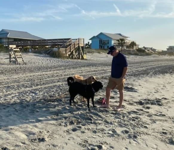 Folly Beach Dog Rules. DogFriendly Beaches In Folly Beach