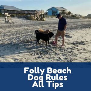 Folly Beach Dog Rules