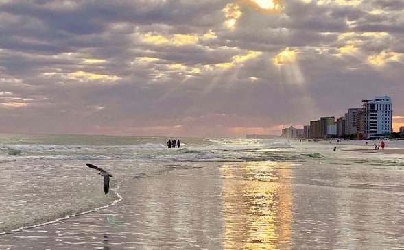 Henderson Beach State Park