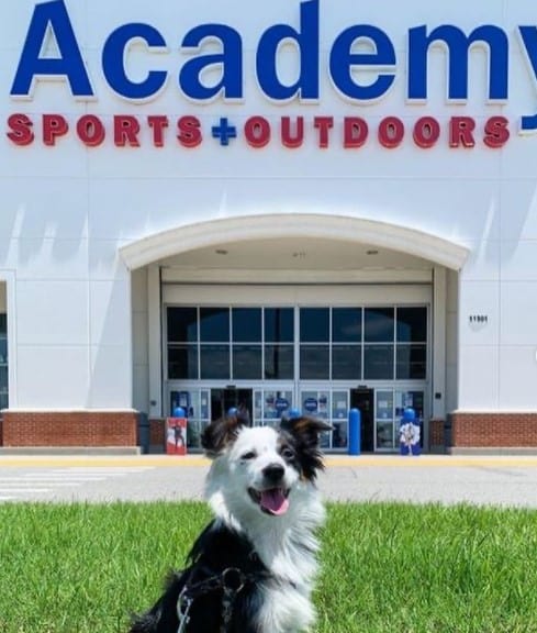 Is Academy Sports Outdoors Pet Friendly