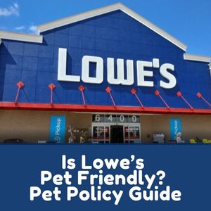 Is Lowe’s Pet Friendly?