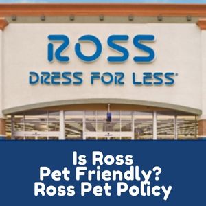 Is Ross Pet Friendly?