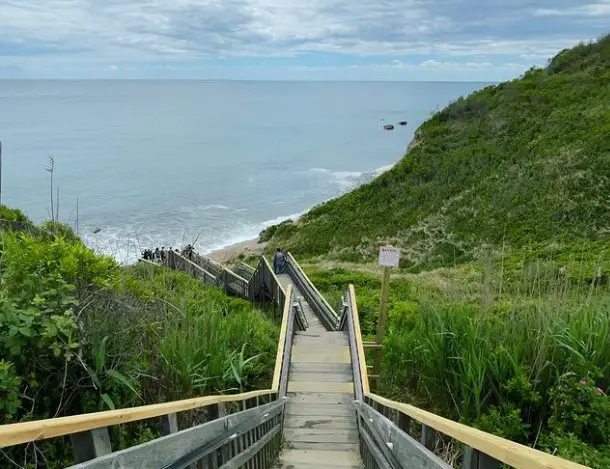 Mohegan Bluffs dog friendly beach