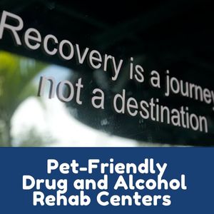 Pet-Friendly Rehab Centers
