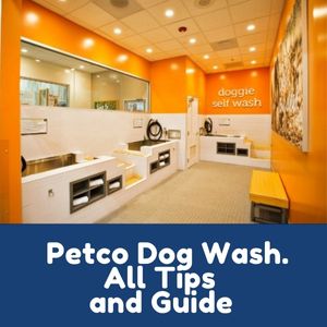 Petco Self Service Dog Wash Stations