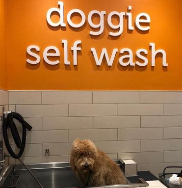 how much is self service dog wash at petco