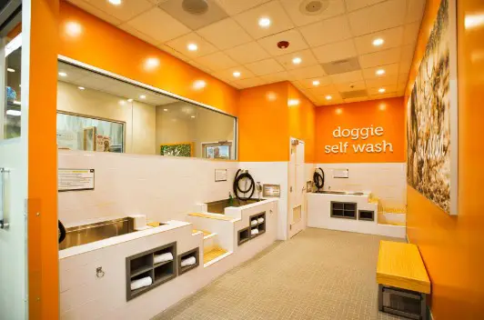 Petco-Self-Serve Dog Wash Stations