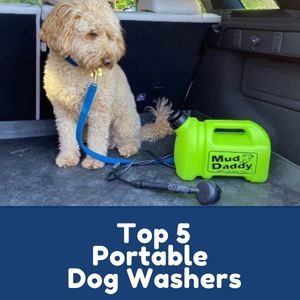 Portable Dog Washers