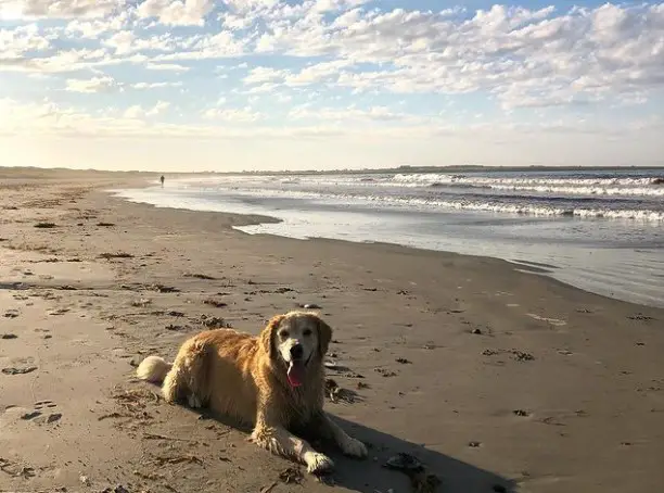 Sachuest/Second Beach