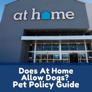 Does At Home Allow Dogs