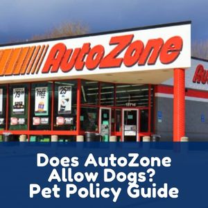 Does AutoZone Allow Dogs