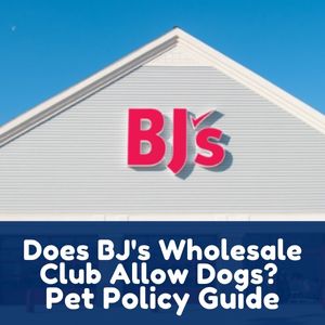 Does BJ's Wholesale Club Allow Dogs
