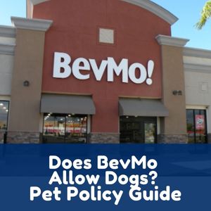 Does BevMo Allow Dogs