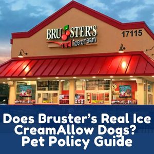 Does Bruster’s Real Ice Cream Allow Dogs