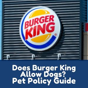 Does Burger King Allow Dogs