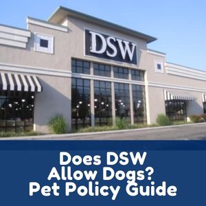 Does DSW Allow Dogs