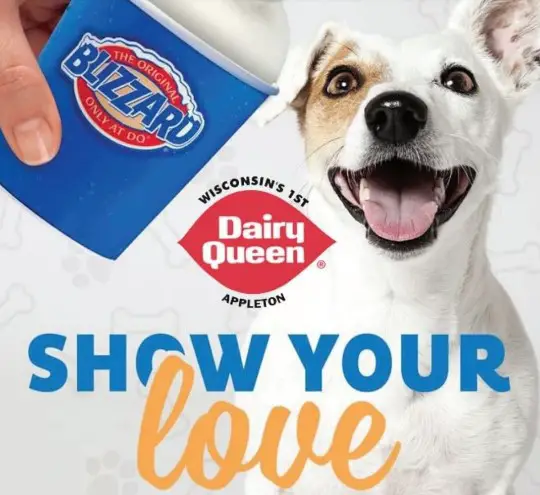 Does Dairy Queen Allow Dogs