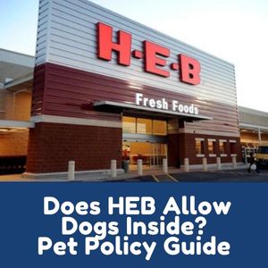 Does HEB Allow Dogs