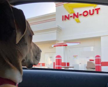 does in and out have a dog menu