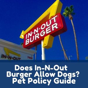 Does In-N-Out Burger Allow Dogs
