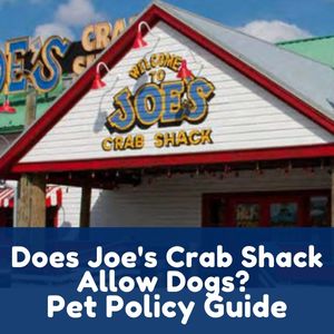 Does Joe’s Crab Shack Allow Dogs
