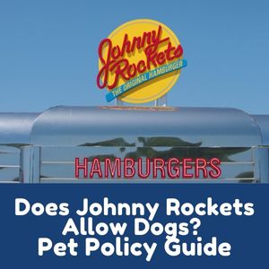 Does Johnny Rockets Allow Dogs