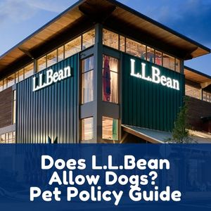 Does L.L.Bean Allow Dogs