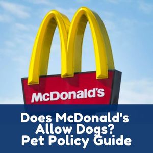 Does McDonald's Allow Dogs