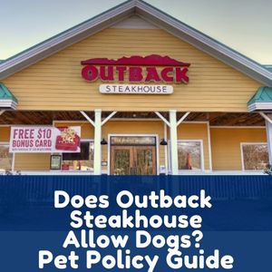 Does Outback Steakhouse Allow Dogs
