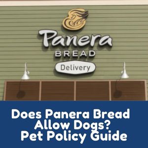 Does Panera Bread Allow Dogs