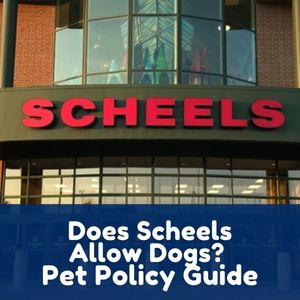 Does Scheels Allow Dogs