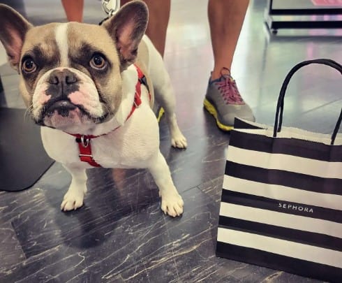 Does Sephora Allow Dogs