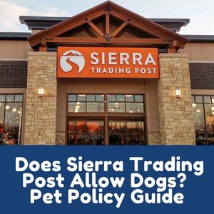 Does Sierra Trading Post Allow Dogs
