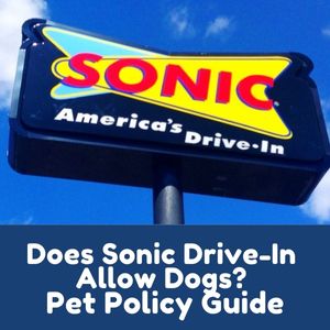 Sonic Drive-In Allow Dogs