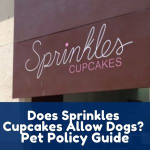 Does Sprinkles Cupcakes Allow Dogs