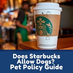 Does Starbucks Allow Dogs
