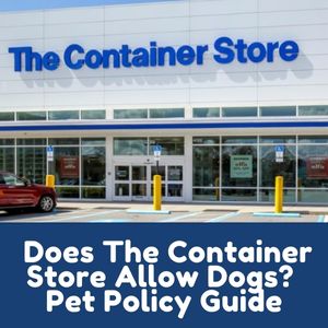Does The Container Store Allow Dogs