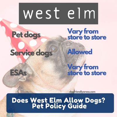 Does West Elm Allow Dogs